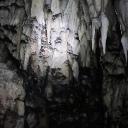 Markove Kolibe 5, Uvac, Holiday home