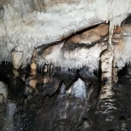 Markove Kolibe 5, Uvac, بيت للعطل *