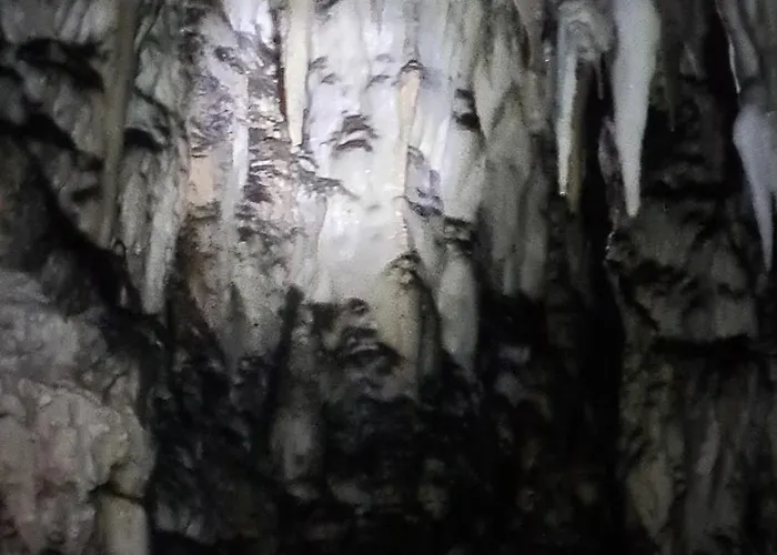 Markove Kolibe 5, Uvac, بيت للعطل