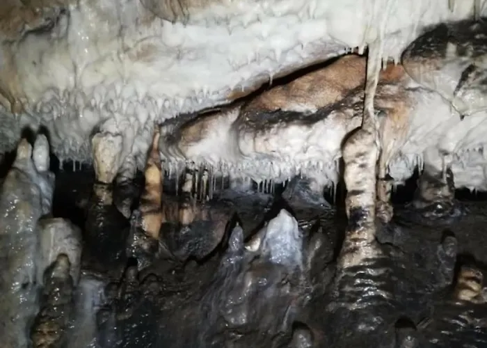 Markove Kolibe 5, Uvac, بيت للعطل *